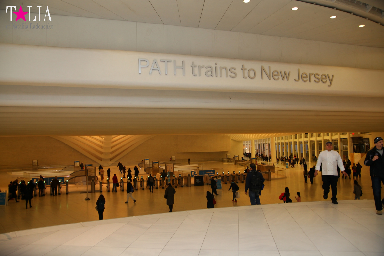 The most expensive train station and mall in the world. Oculus in New York City